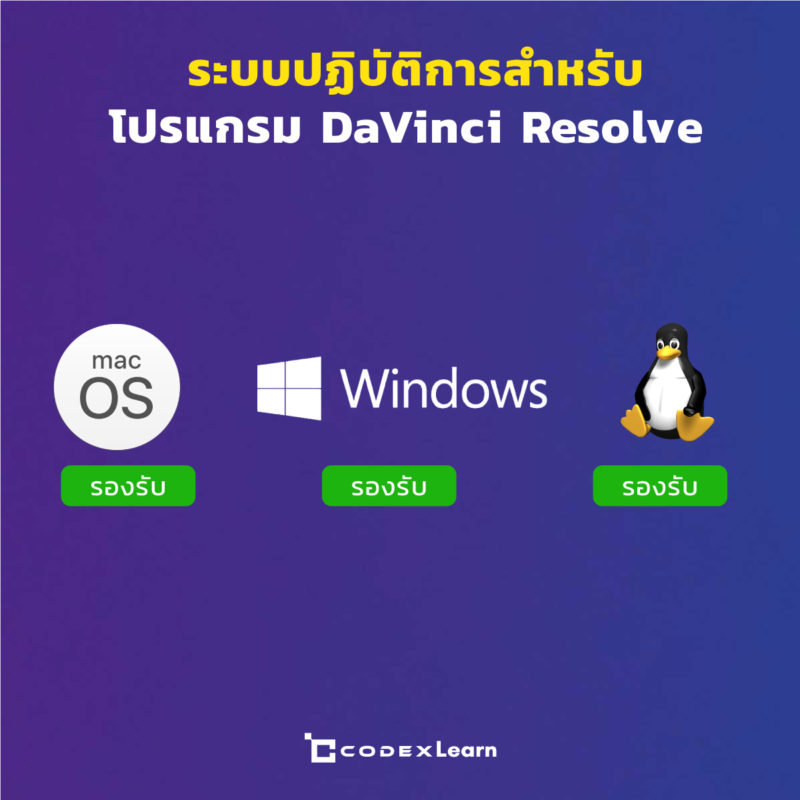 มีการรองรับทั้งหมด 3 ระบบ